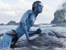 Avatar Earns Huge Rs 128 Crore