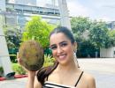 Sanya And The 'Missing' Jackfruit