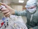 Swine flu vaccine to be available by Sept: WHO