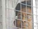 Jailed Lankan journalist bags prestigious awards