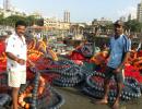 Seafood prices fall at Mumbai's Sassoon Dock