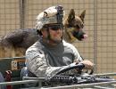 A canine boost for US in Afghanistan