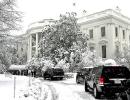 Washington snowed out by heavy blizzard