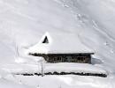 Fresh avalanche in Kashmir Valley kills jawan