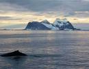 Melting Antarctic glacier spells trouble