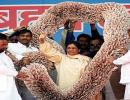  Maya's garland was worth just Rs 21 lakh: BSP 