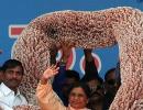 Cash garland row: Maya convenes party meet