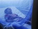 Dengue death toll rises to 15, over 2,000 affected