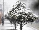 Heavy snow cuts off Kashmir Valley