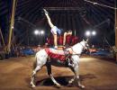 THE BIG TOP: The circus comes to town