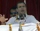 BSP, SP, BJP only serve their vote banks in UP: Rahul