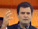 'Rahul has single-handedly revived the Congress in UP'