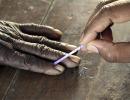 Bihar assembly polls on time: EC sources