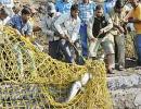 PIX: Crocodile threat ends in Khadakwasla Dam