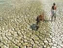 When will distressed farmers get help, Sena asks Centre