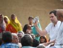 Congress leaders destroyed what Rahul Gandhi built'