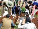 Japanese take home WWII heroes from Guwahati war cemetery