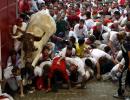 OLE! Smashing PHOTOS of Spanish BULL RUN