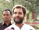 Rahul to play larger role in Congress from September