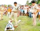 Bizarre incidents add to Uttar Pradesh's notoriety