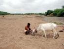 PHOTOS: In the land of no food, no water, no livelihood