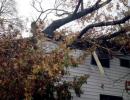 Family escapes as tree destroys house in Sandy-hit US