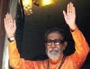 Decoding Bal Thackeray: Bindhast!