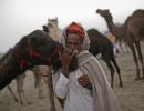 PHOTOS: Glimpses of world's LARGEST camel fair in Pushkar