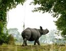 Kaziranga Park to get e-surveillance system, aircraft