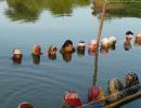 50 protestors in chin-deep water wait to be heard