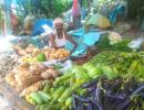 'FDI in retail will uproot street vendors in few months'