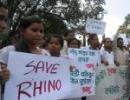 Four rhinos killed, Assam asks for CBI inquiry