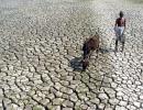 Indian drought: Bonanza for Canadian farmers