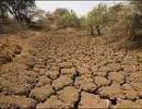 Kerala facing 'grim' drought, govt gears up machinery