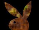 Why Playboy's Goa club plan is doomed