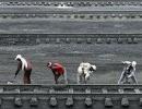 SC should appoint SIT on coal scam, suggests BJP