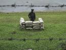 Chenab current drifts BSF jawan, captured by Pakistan