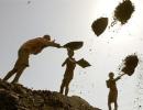 CBI finds no criminality in allocation of 60 coal blocks