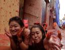 The TOMATINA album: World's biggest food fight, now at a price