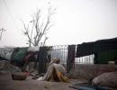 Photos: North India shivers, 107 die of cold in UP