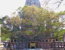 Bodh Gaya temple re-opens 36 hours after serial blasts