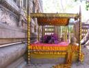 Mahabodhi temple, holy Bodhi tree UNTOUCHED by blasts