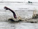 35 corpses found adrift in the Ganga; probe ordered