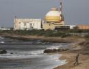 Criticality may mean death for Kudankulam's seas