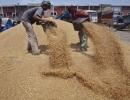 UPA to bring ordinance to implement Food Security Bill