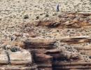 Pix: Daredevil walks tightrope 1,500 feet above Grand Canyon