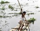 Over 100 villages, 50,000 people hit by floods in Assam