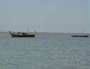 12 Pak fishermen arrested for entering Indian waters