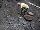 Govt not cooperating with CBI in coal scam: BJP