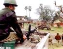 Time for action against Maoists: Jharkhand leaders